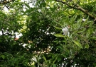 20150505_072245