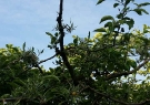 20150505_072317