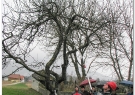 obrezovanje-jablan-pri-pfajferju-5-3-2016-10-of-40