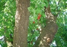 dsc01031