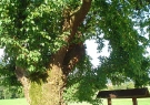 dsc01035