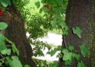 dsc01058
